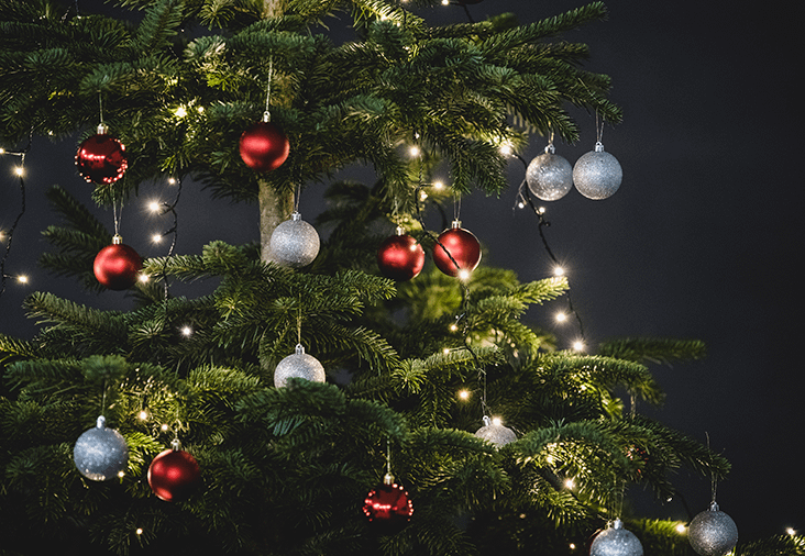 F&aring; juletr&aelig;et til at holde sig | Byggmax