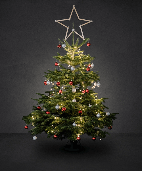 Tips til juletr&aelig;et | Byggmax