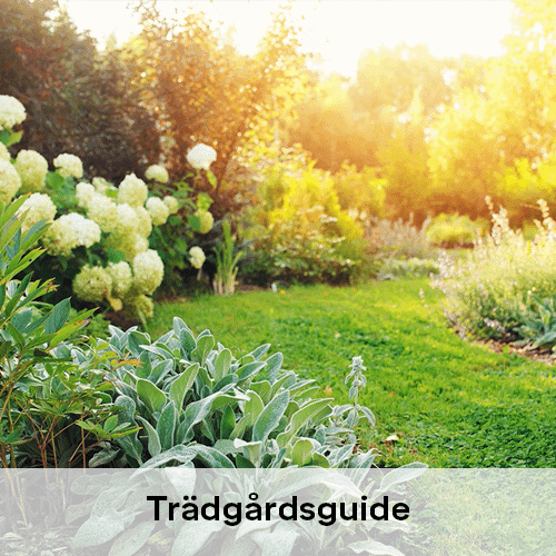 Trädgårdsguide | Byggmax Trädgårdsguide | Byggmax