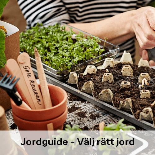 Vilken jord till vad | Byggmax Vilken jord till vad | Byggmax