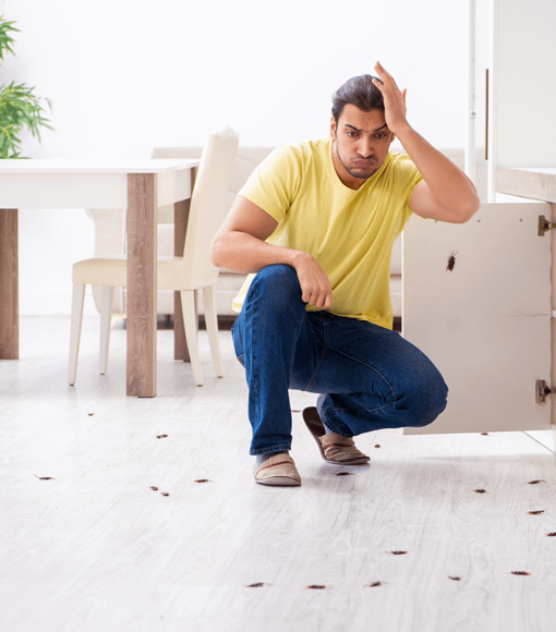 Bek&auml;mpa skadeinsekter | Byggmax