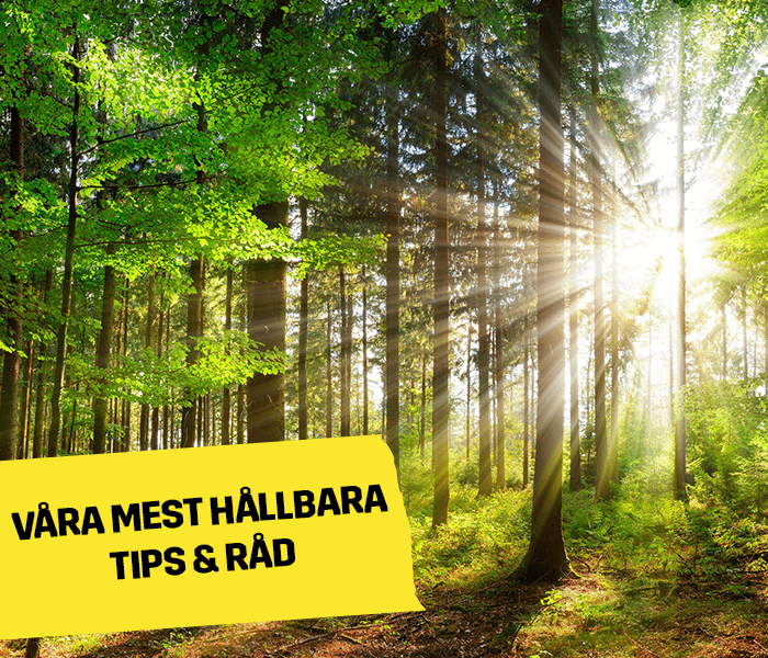 Vores mest b&aelig;redygtige tips og r&aring;d | Byggmax
