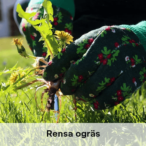 Rensa ogräs | Byggmax Rensa ogräs | Byggmax