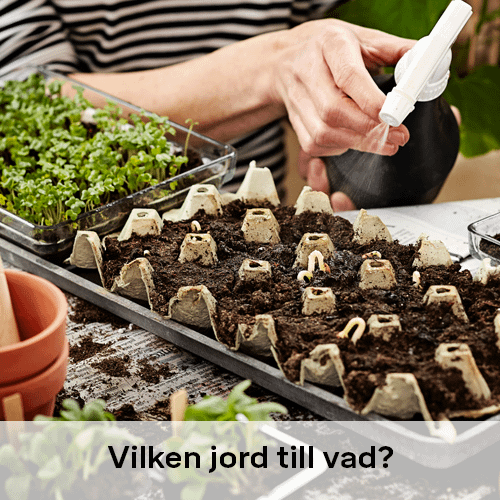 Vilken jord till vad | Byggmax Vilken jord till vad | Byggmax